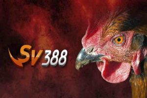 Giới thiệu nhà cái Sv388 đá gà trực tiếp